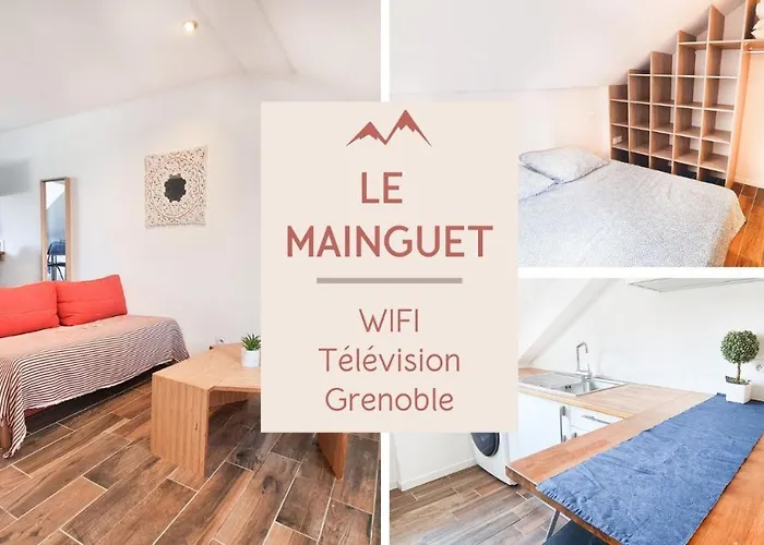 Le Mainguet - Appartement cosy - Grenoble